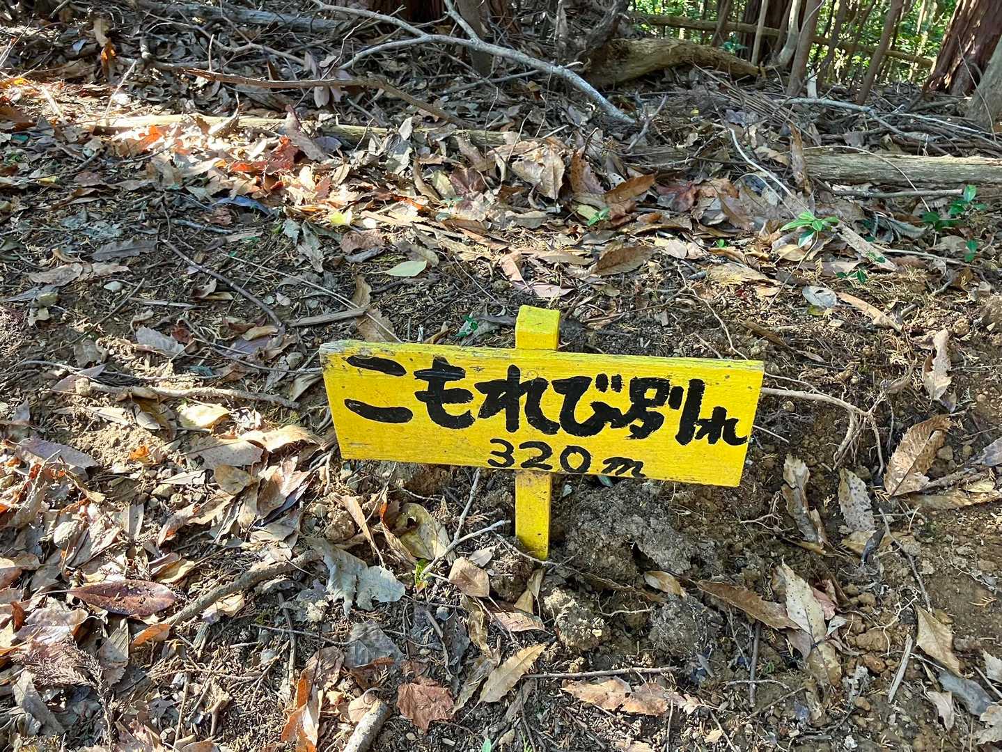 新城・茶臼山登山口-金満山-赤牟田ノ辻 往復コースの写真