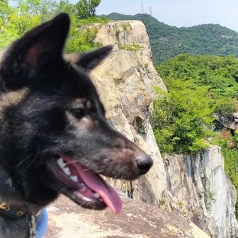 🌊🗻　tara　🏕️🐶