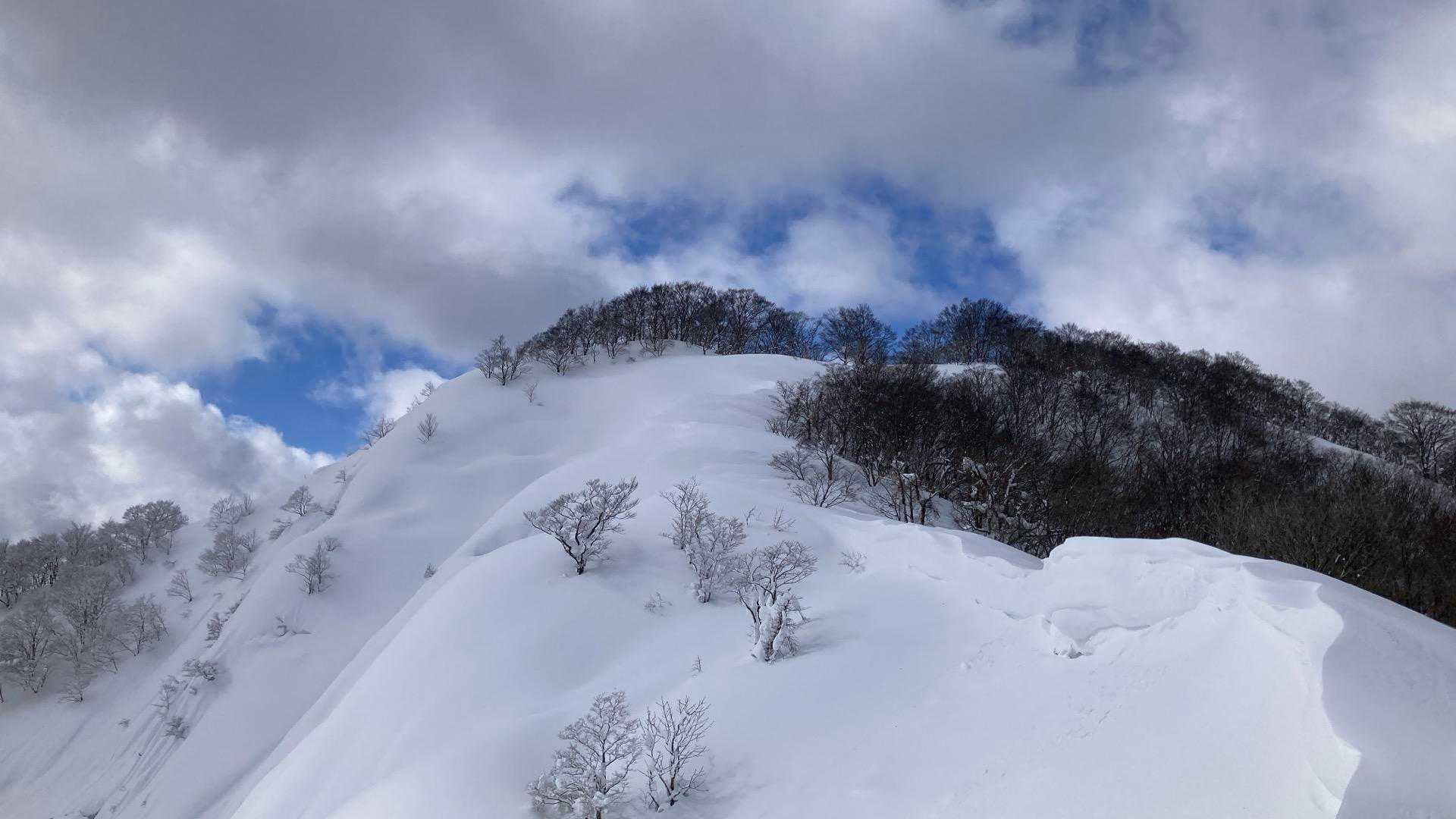 天狗山 往復コースの写真