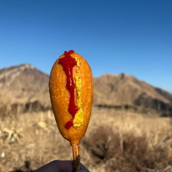 アメリカンドック、美味しいよ😋