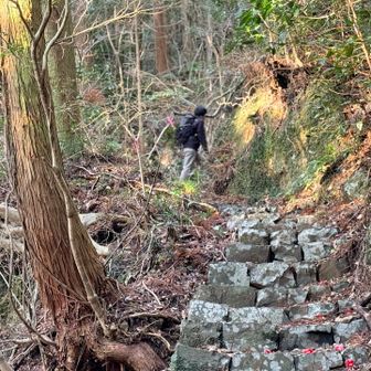 いきなり石段が続く