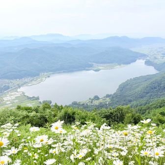 どん曇りだけど見られて良かった♪