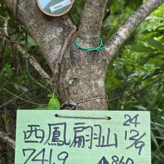 山頂🚙で・・・