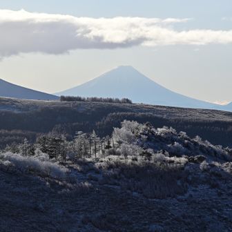 八ヶ岳は雲の中だけど富士山は見える