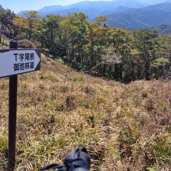 T字尾根への分岐。数年前の御池での怪しい遭難レポに出てた尾根へはここから？