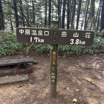 第二ベンチ
誰とも会わない
スタート遅めですもんね…