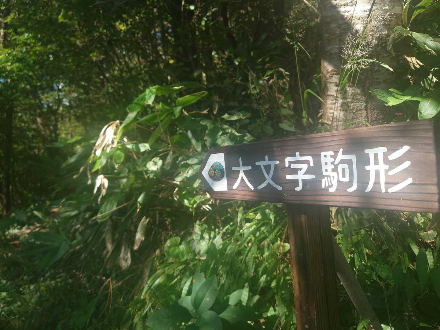 頑張った〜💦