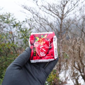 とりあえず苺大福いっとく🍓やっぱり冬山は苺気分