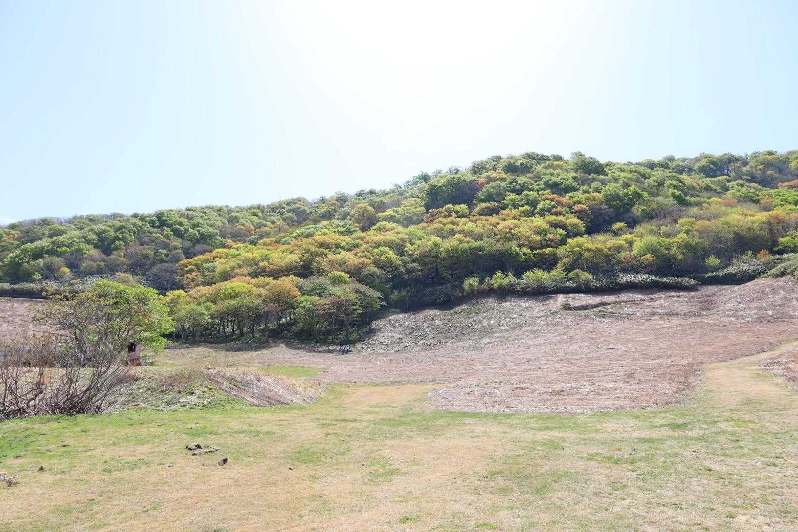 これから登る『擬宝珠山』