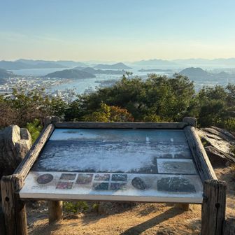 山頂からの眺望