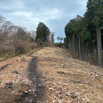 いきなり開削地に飛び出ました