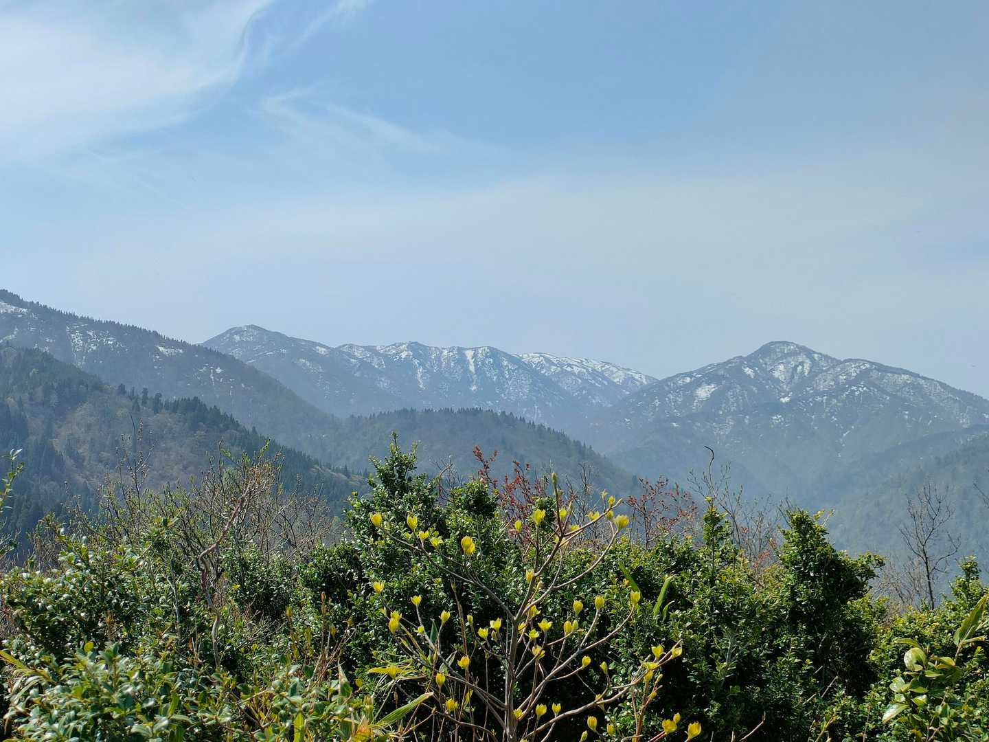 夫婦山-夫婦山 往復コースの写真