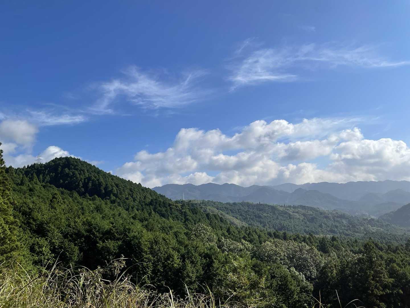 西教山 往復コースの写真