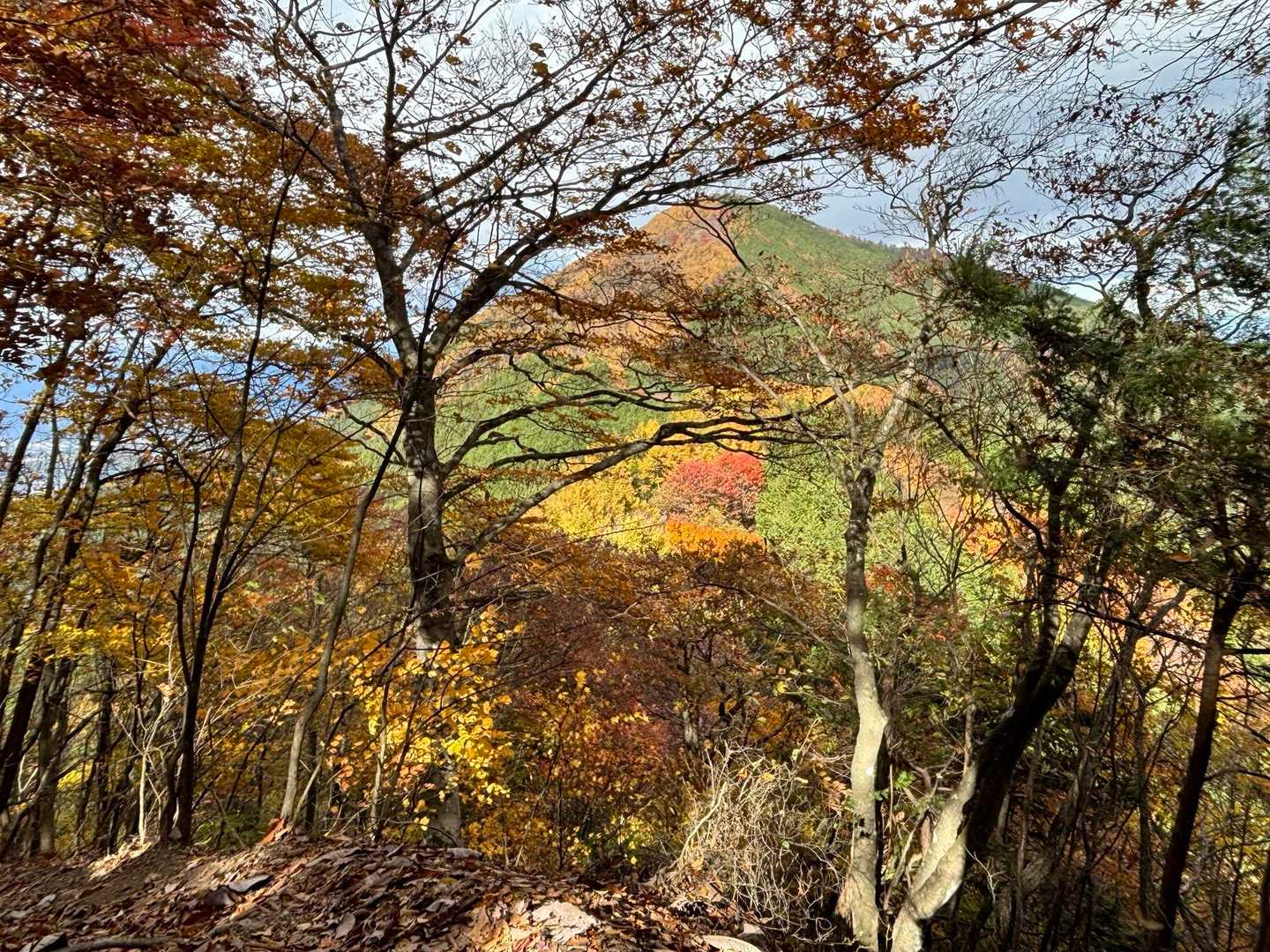 ラスボス見えた！
こっちから望む武甲山は、299側から眺める削られて可哀想な姿とまるで違う😃