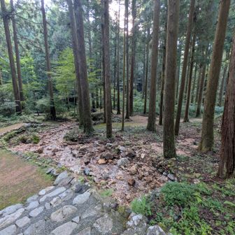 めっちゃ冷たい
