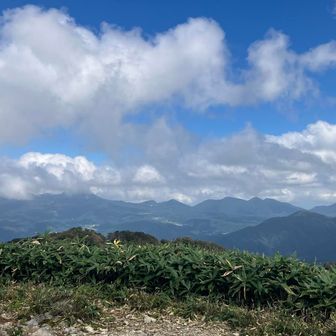 毛無山から見える大山〜烏ヶ山〜蒜山⛰️
ここで団体さんが4組頂上に集合😆
やはり人気の山ですね⛰️