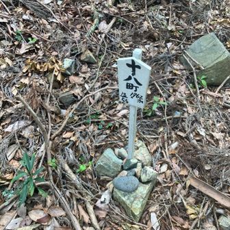 宇治岳道十八町