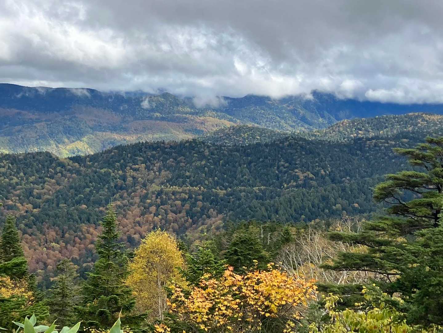 大清水バス停-三平峠-尾瀬沼-燧ヶ岳 往復コースの写真