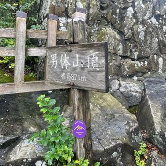 とりあえず登頂〜⛰️