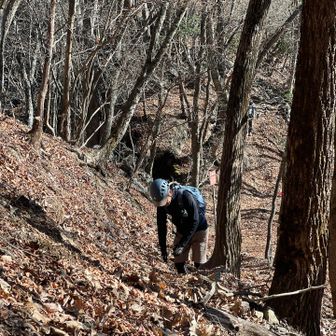 最後はバテバテです。😮‍💨
初めての鎖場⛓️八丁峠。
鎖、岩場の技術はもちろんの事
急登と鎖場の数が多く。
体力が大事とわかりました😅