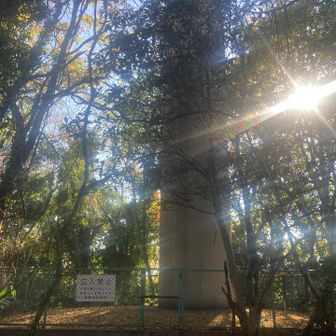 廃屋のフェンス横から入った先が、向山（98.97ｍ）