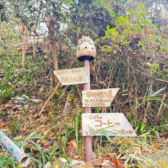 ろくざん亭の辺りから登る！とレポで見たのですが、残念な事に今年の春ろくざん亭さんは閉店したそう。