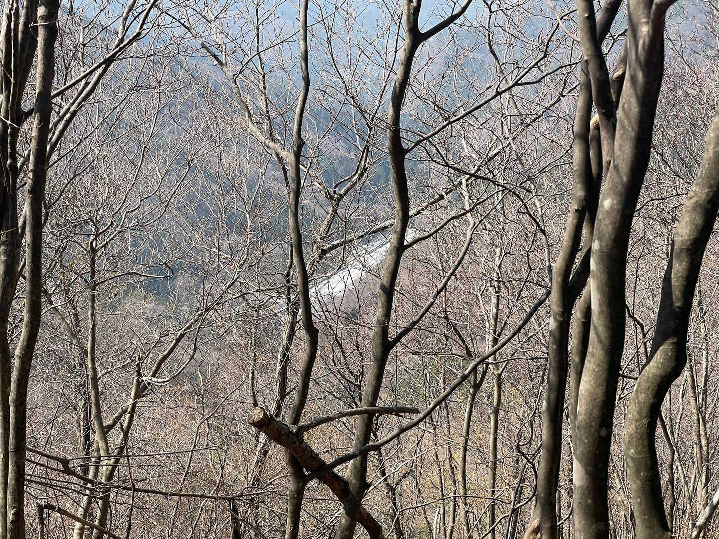 あーーーっ！！！！
リニアの！！やつ！！！🤣