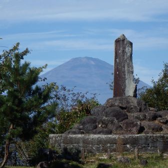 足柄城址より