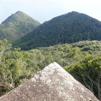 ハカリカケ岩からの見晴らし