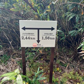 やっとここまで来た