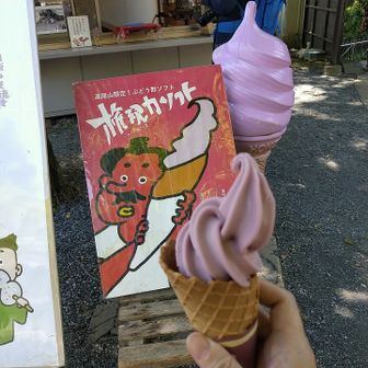 高尾山・陣馬山・景信山 今回のソフト