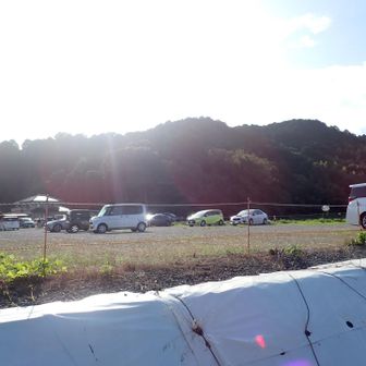 駐車場では素通りして