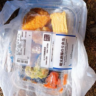 いつもだと日帰りはパンとおにぎりなんですが、ローソンに山小屋弁当みたいな見映えのやつが売ってたので買ってみました。冷たいけどうまかった。