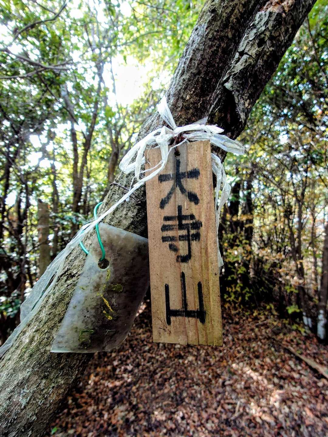 2座目大寺山登頂🚩