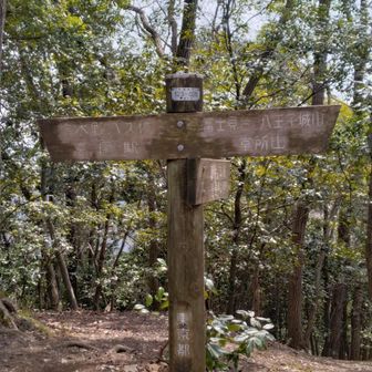 摺差方面との分岐はピーク(421m)。