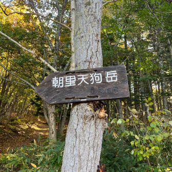 道道1号線を300mくらい下ると登山道入り口。