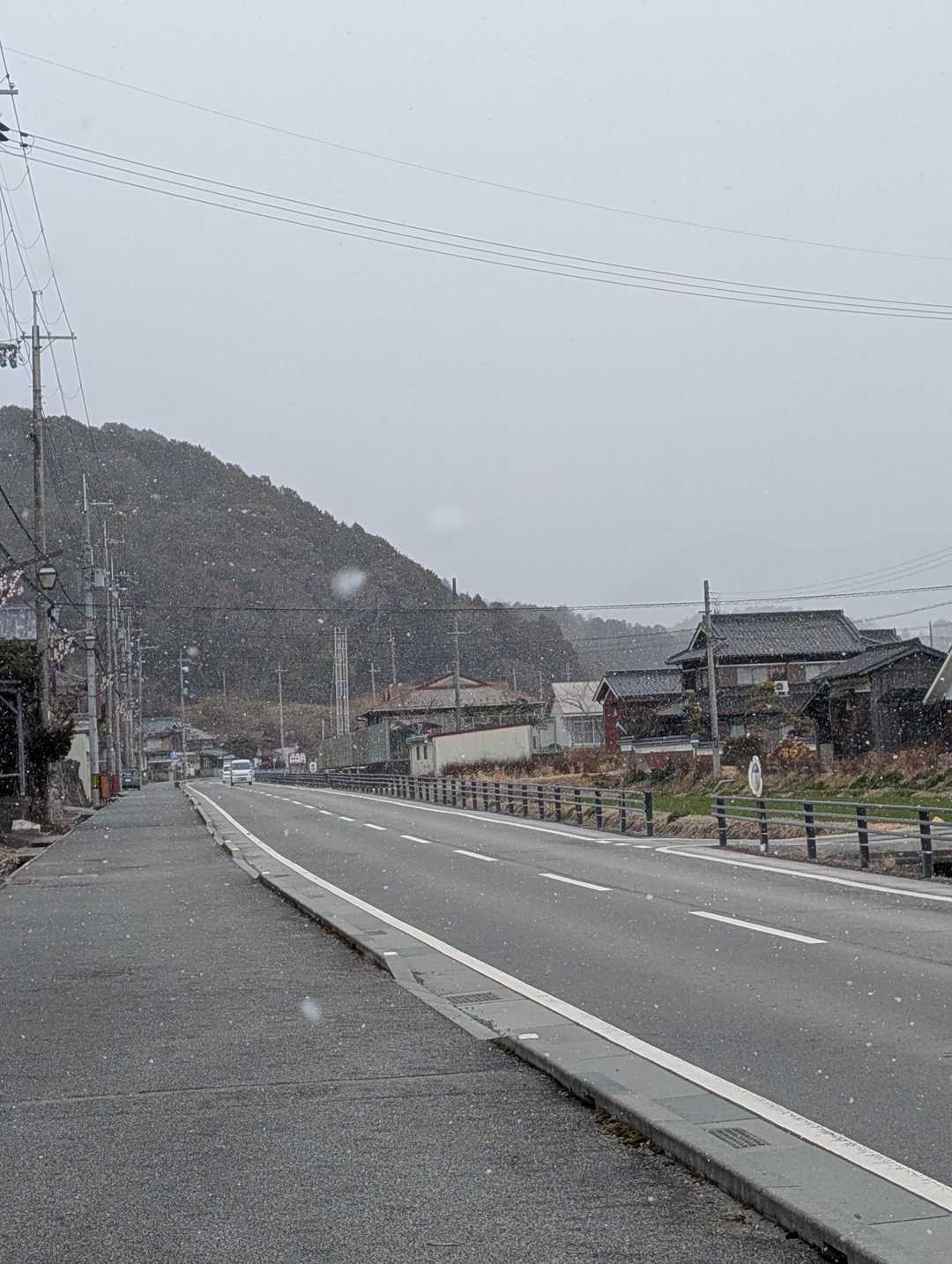 …て思って戻っていたらまさか吹雪く⤵⤵⤵🥲🥲🥲