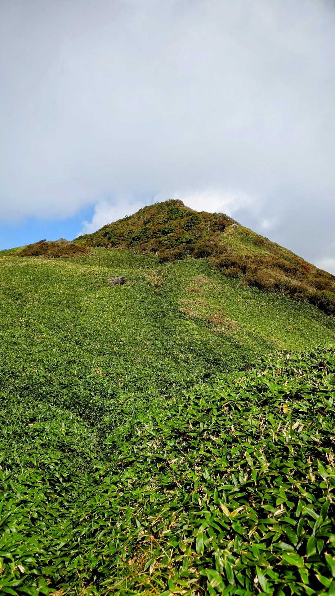 旧寒風山トンネル南口-桑瀬峠-寒風山-笹ヶ峰-笹ヶ峰南登山 縦走コースの写真