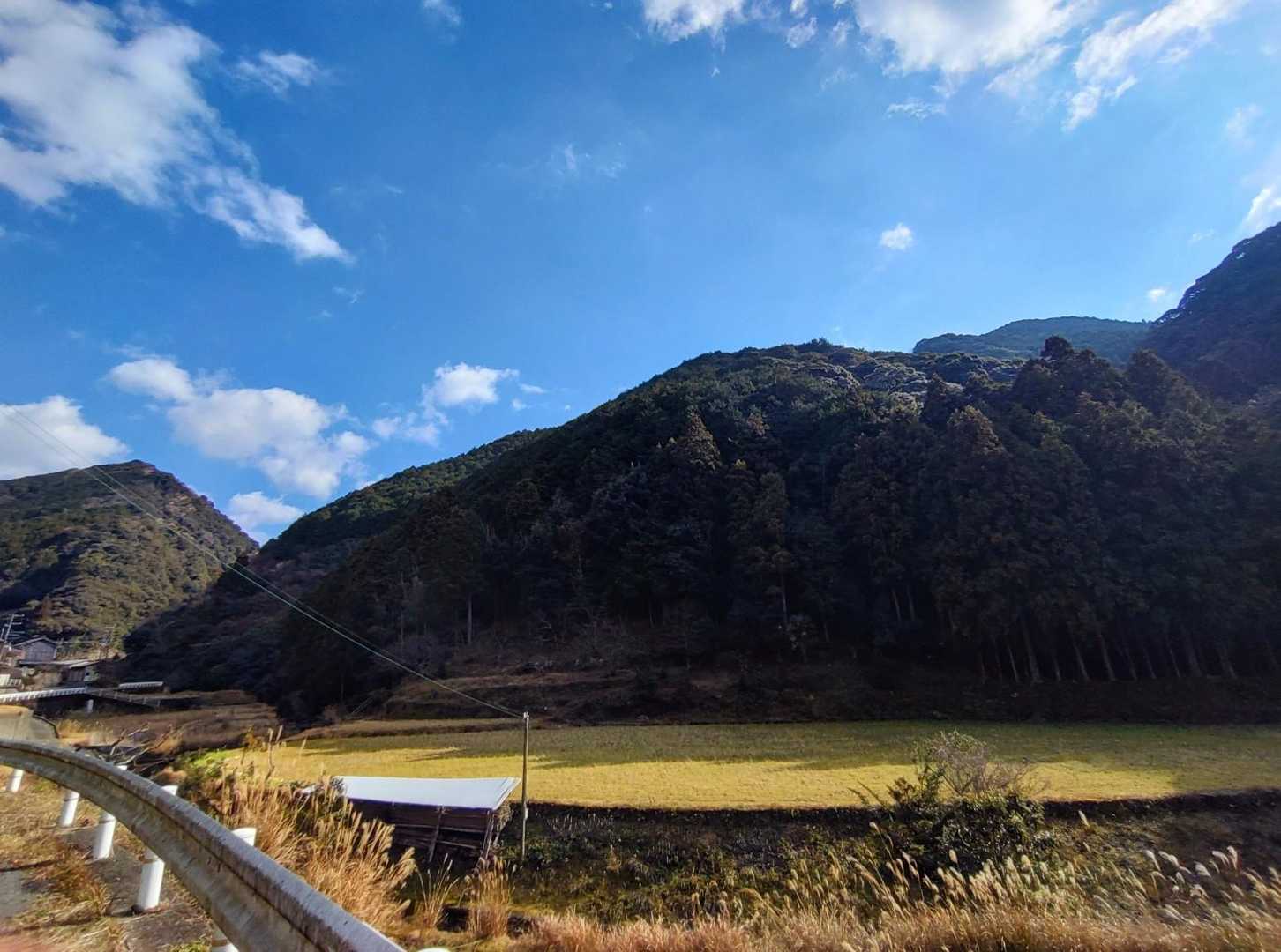 のどかな風景☘️😌