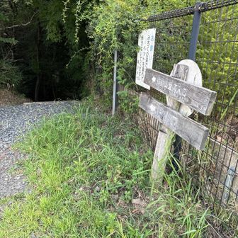 さあ、初ソロ活、出発します。
ちょっと、ドキドキする。