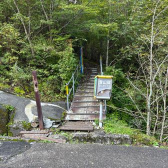今日もここから、山頂目指します