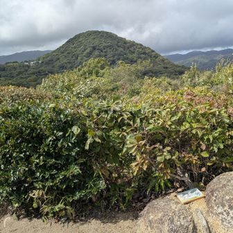 ここ、甲山森林公園内にある、知る人ぞ知る的な場所なのか??
危うく見逃しそうになりましたが、ベンチもあります