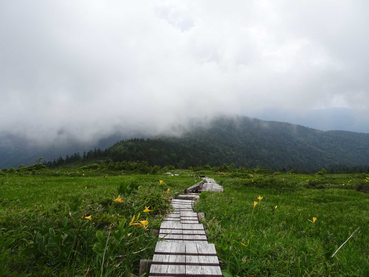 遠くで雷⚡の音が聞こえて徐々に雲行きが怪しくなってきました☁️
頼むから下山するまでもってくれよ