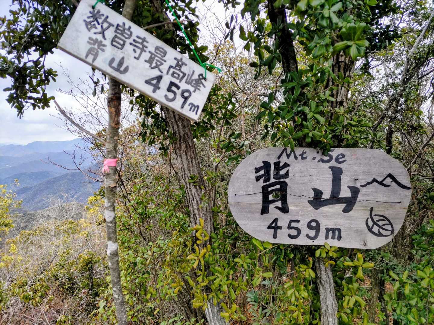 背山、到着🙌