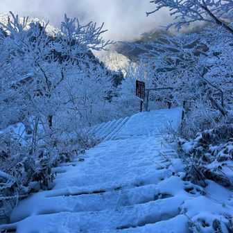 もっと降るとここは見えなくなります😂
