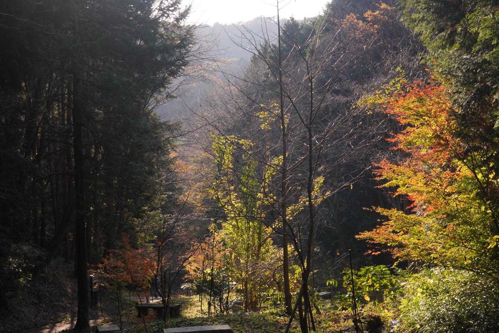 夕方の優しい光がいい感じ😊