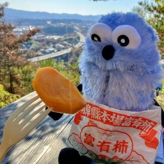 今日のおやつは本巣市法林寺産の富有柿✨
岐阜県で食べるとなお美味しいねぇ