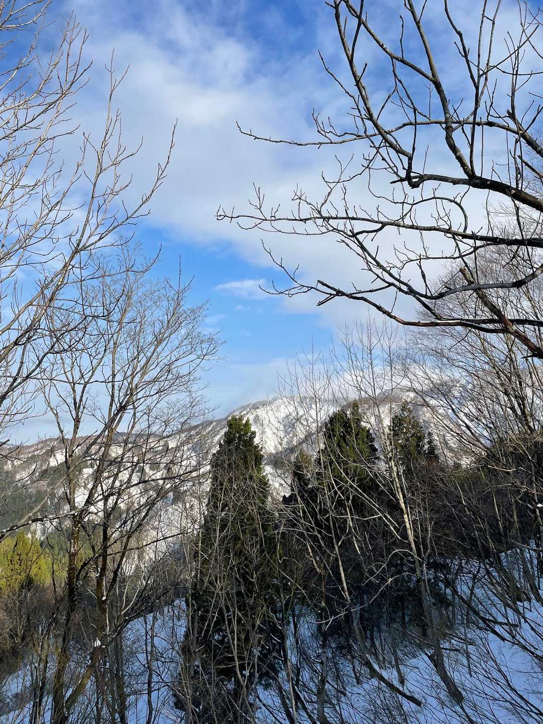 光る鋸さん✨
余りにもキツいので分岐前で撤退😭