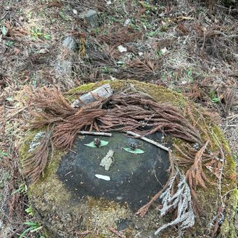 こがし　やまこ　さんです。
皆で、装飾してみました
髪飾り(🪵)とエクステは、私が足しました😊