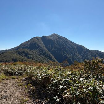 では、下山します
写真には写りませんでしたが、トンボがたくさん群れていました
